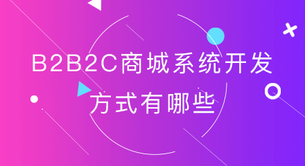 b2b2c商城系统开发方式有哪些?