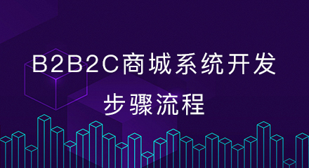 B2B2C商城系统开发的步骤流程