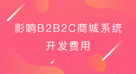 影响B2B2C商城系统开发费用的几大关键因素