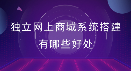 独立网上商城系统搭建有哪些好处?