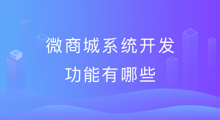 微商城系统开发功能有哪些?