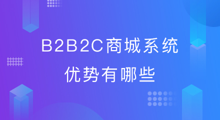 B2B2C商城系统优势有哪些?