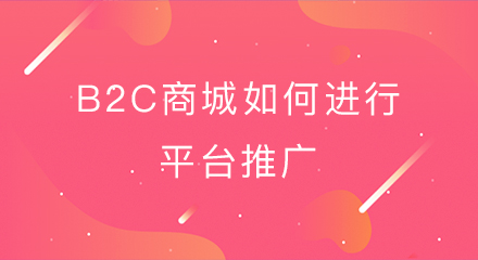b2c商城如何进行平台推广?